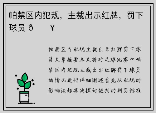帕禁区内犯规，主裁出示红牌，罚下球员 🔥